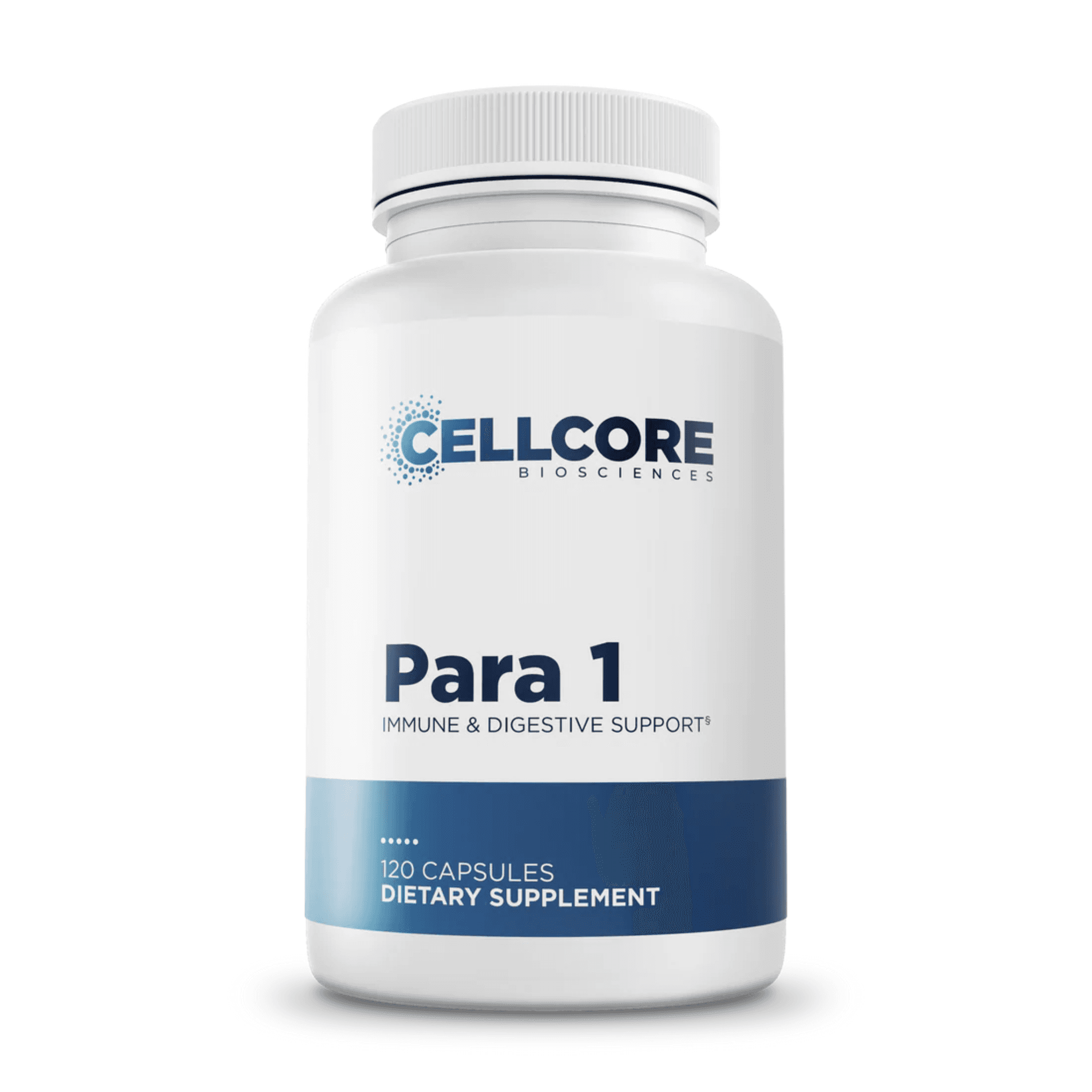 Para 1